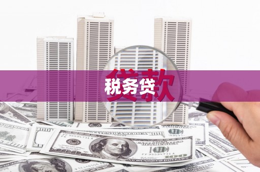 肇州税务贷