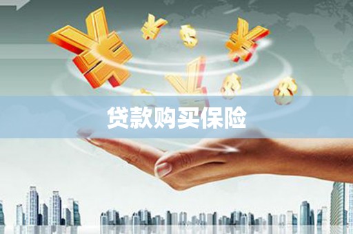 肇州贷款购买保险