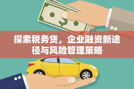 肇州探索税务贷，企业融资新途径与风险管理策略