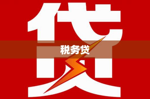 肇州税务贷