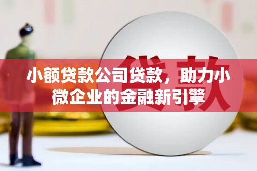 肇州小额贷款公司贷款，助力小微企业的金融新引擎