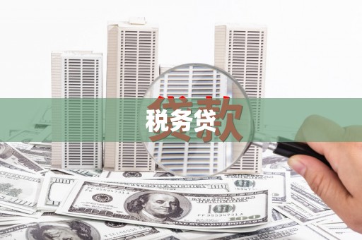 肇州税务贷