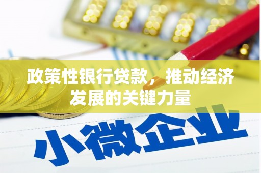 肇州政策性银行贷款，推动经济发展的关键力量