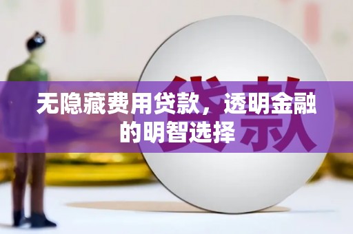 肇州无隐藏费用贷款，透明金融的明智选择