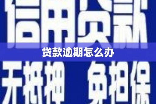 肇州贷款逾期怎么办