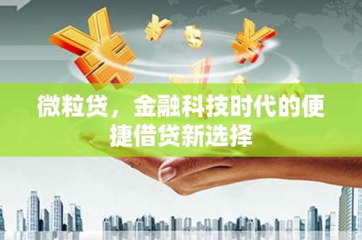 肇州微粒贷，金融科技时代的便捷借贷新选择
