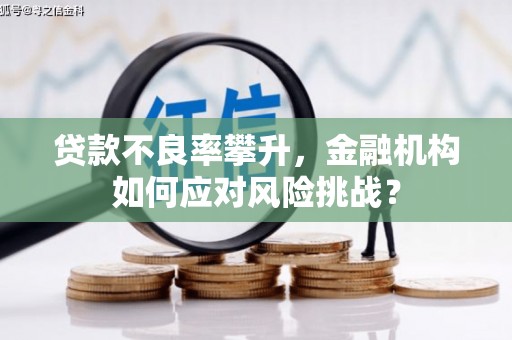 肇州贷款不良率攀升，金融机构如何应对风险挑战？
