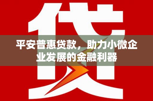 肇州平安普惠贷款，助力小微企业发展的金融利器