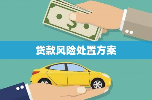 肇州贷款风险处置方案